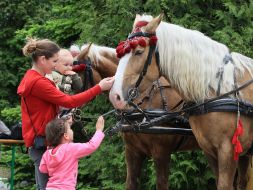 Чоловік катає хлопчика на коні