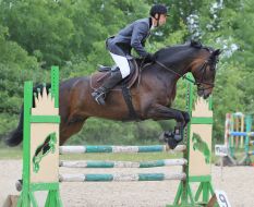 Петро Плекан