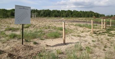 Landfill disposal of toxic waste