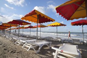 Beach umbrellas and sunbeds