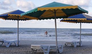 A man swims in the sea