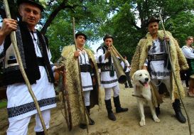 Participant of festival