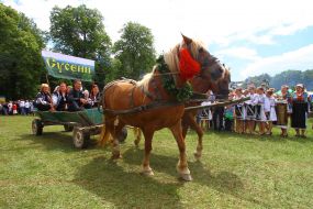 Participant of festival