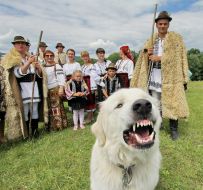 Participant of festival