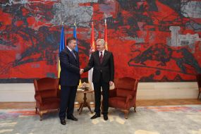 Віктор Янукович та Томіслав Ніколич