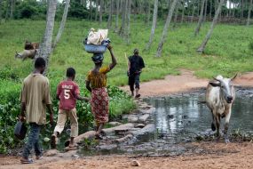 The inhabitants Yamoussoukro