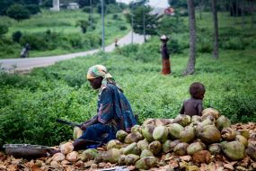 A woman cleans the coconuts