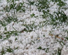 Hail on a grass