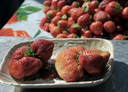 Ягоди полуниці