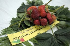 Ягоди полуниці