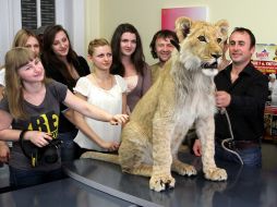 Emanuele Farina with lion