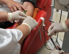 The donor gives blood