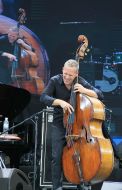 Avishai Cohen