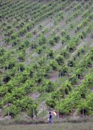 Reenacting battle of the Crimean War of 1853-1856