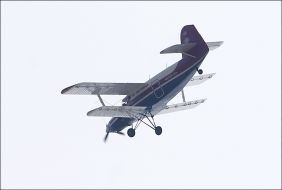 Самолет АН-2-100