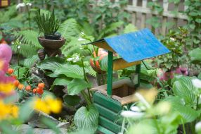 Elements of garden decor