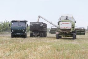 Збирання зернових