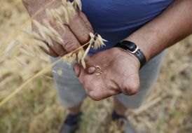 Механізатор 