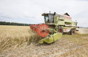 Збирання зернових