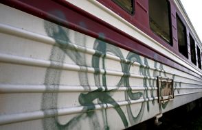 Carriage of shuttle train