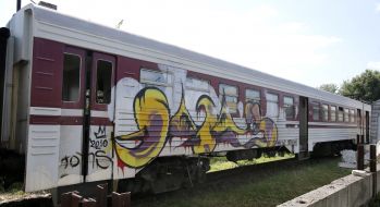 Carriage of shuttle train