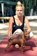 The international exhibition of dogs  "Pearl of Carpathians - 2013"