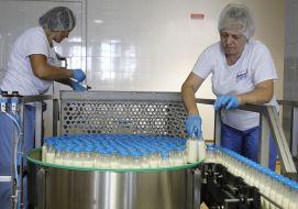 Conveyor with milk products