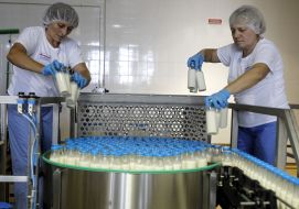 Conveyor with milk products