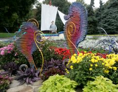 Exhibition of flowers "World Children's Dreams"