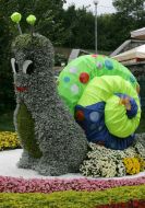 Exhibition of flowers "World Children's Dreams"