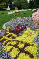 Exhibition of flowers "World Children's Dreams"