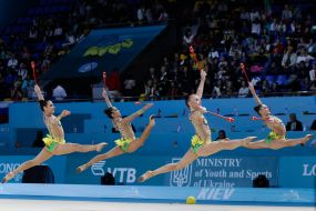 Чемпионат мира по художественной гимнастике 2013