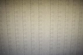 Водяний знак п'ятигривневої купюри