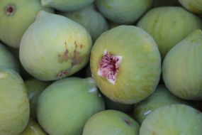 Fruits of figs