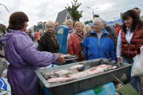 Sale of fish