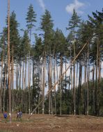 XVI Ukraine Championship of Lumberman