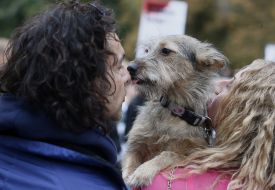 Participants of the protest