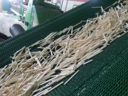 Manufacture of matches