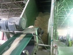 Manufacture of matches