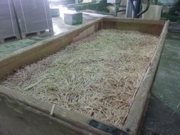 Manufacture of matches