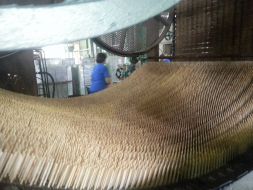 Manufacture of matches