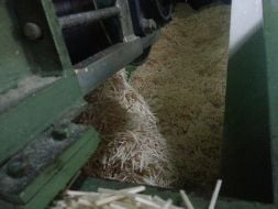 Manufacture of matches