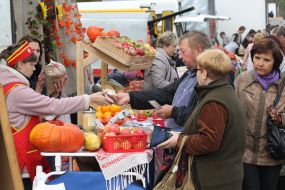 Agricultural Fair "Generous Autumn 2013"