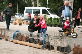 Man with child looking at rabbits