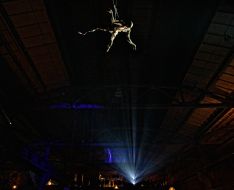 Перфоманс  LA PORTE D'OR