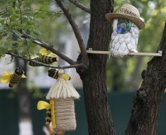 Игрушки на дереве