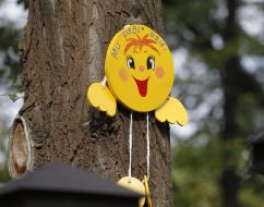 Игрушка на дереве