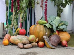 Vegetables