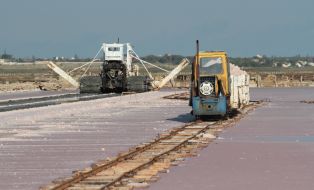 Mining of of sea salt