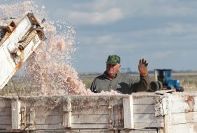 Mining of of sea salt